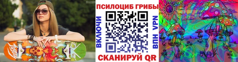 дарнет шоп Ува OMG ТОР Псилоцибиновые грибы Psilocybine cubensis